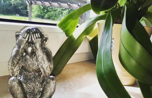 Villa Affenhaus - Foto 10