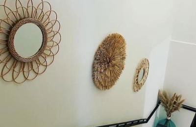 Mas de Barthe Avignon, Ile de la Barthelasse - Foto 11