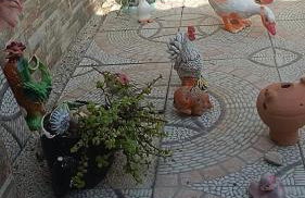 Almerimar Paraiso al Mar - Foto 6