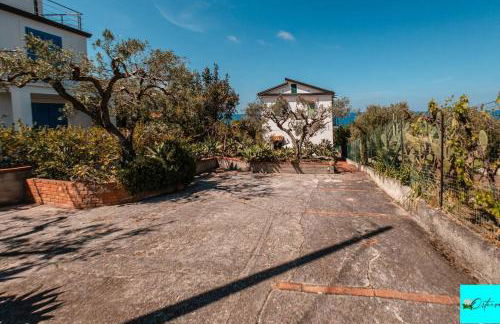 Villa Ortensia - Foto 2