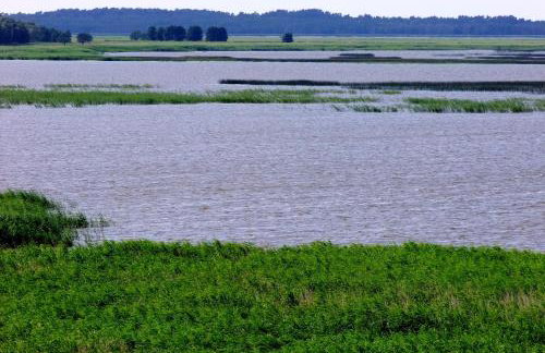 Dworek Słoneczko - Foto 25