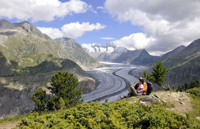 Stachelbeere UG - Foto 20