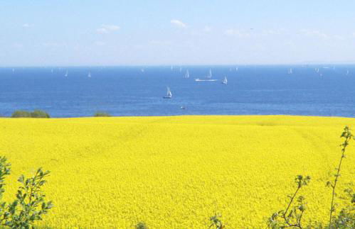 Ferienwohnung Haus Rita - Foto 21