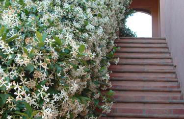 Agriturismo Pian dei Pini - Foto 12