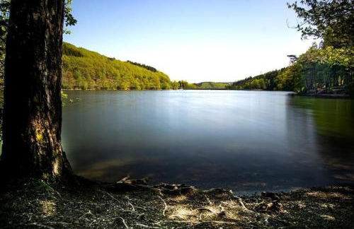 Haus Astenblick in Winterberg Ferienwohnungen mit Gastraum Wanderveranstaltungen und Familienfeiern - Foto 46