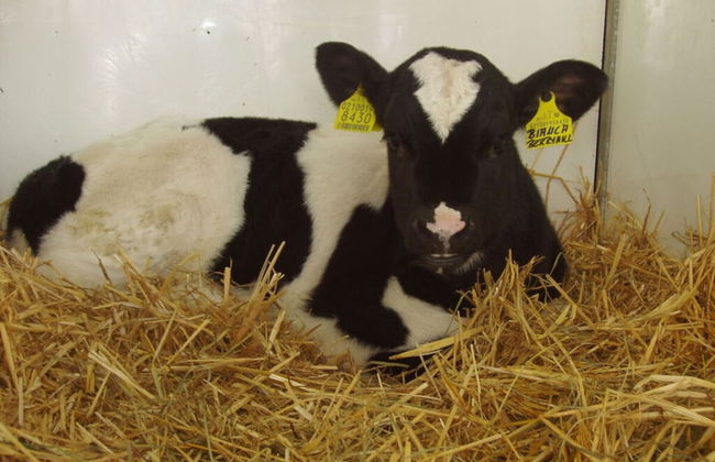 Neunerspitze Comfortable Holiday Residence - Foto 12