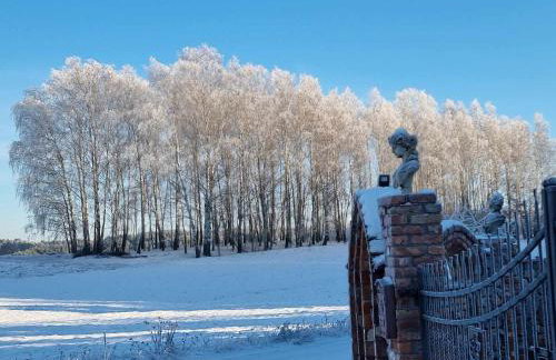 Domek de Janauis - Foto 43