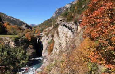 Location MarjoRI - T3 Le Kakariki - Foto 27