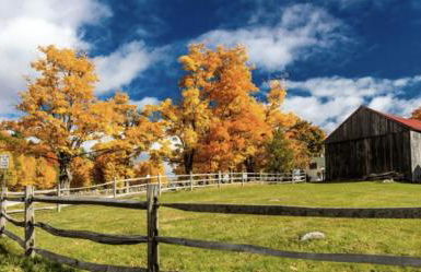 The Tannery House - Foto 26