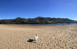 SAN ANTONIO BEACH by Urdaibai rentals - Foto 27