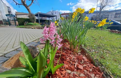 Space Hotel im Campus der JvP Schule - Foto 77