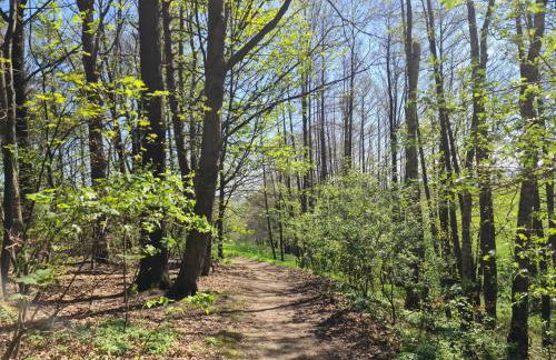 Gästehaus zum Rosengarten - Photo 45