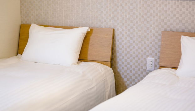 The Road To Mt.Fuji - Foto 5, Habitación