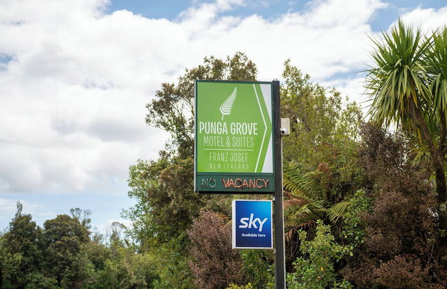 Punga Grove - Foto 50