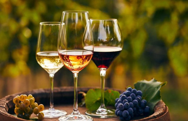 Winery Tour, Tasting & Lunch - Photo 1