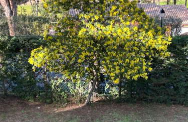 Charmant Appartement climatisé - Wifi - Foto 23