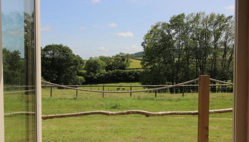 Owl's Hollow - Foto 3