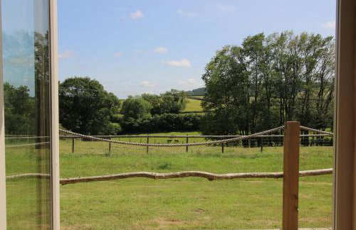 Owl's Hollow - Foto 3