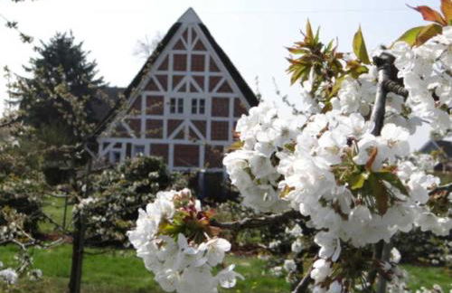 Ferienwohnungen von Schassen - Photo 7