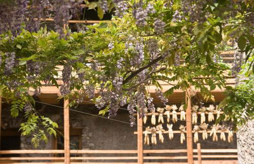 Contrada Beltramelli - Foto 49