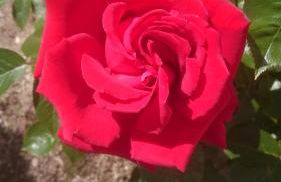 Ferienoase ENGEL - Foto 15