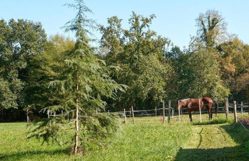 L'Envol - Oasis Ressource - Foto 10