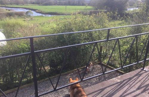Riverside Chalet in heart of Lampeter, West Wales - Foto 9