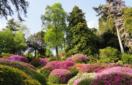 Residence Celeste - Foto 63