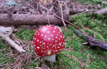 Ferienwohnung Bergblick - Foto 13