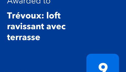 Trévoux: loft ravissant avec terrasse - Foto 2