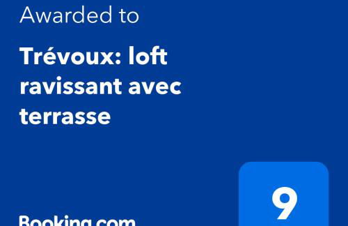 Trévoux: loft ravissant avec terrasse - Foto 2