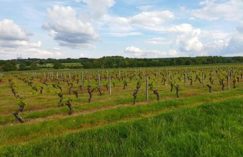 Le Chapitre - Foto 30