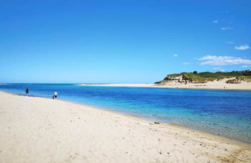 Willow - 31287 - Photo 18