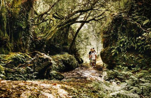 Casa Passal - Foto 36