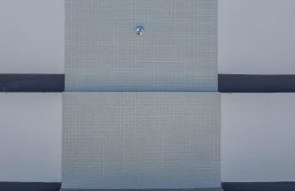 Algaba aral - Photo 43