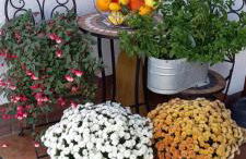 Gästehaus Klein - Foto 43