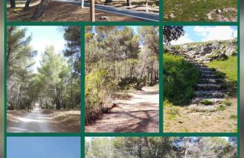 Casa Rural El Olivar Victoria - Foto 14