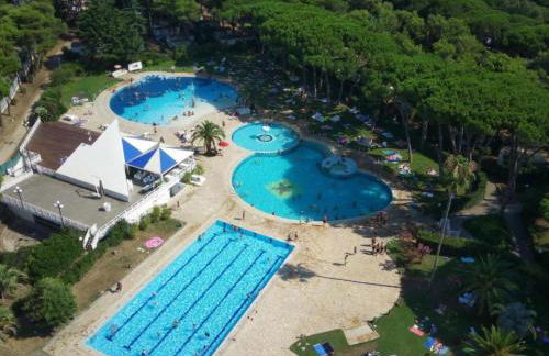 Cozy Pine Forest Chalet - Foto 76