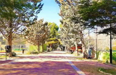 Casa Rural Don Alonso - Foto 42