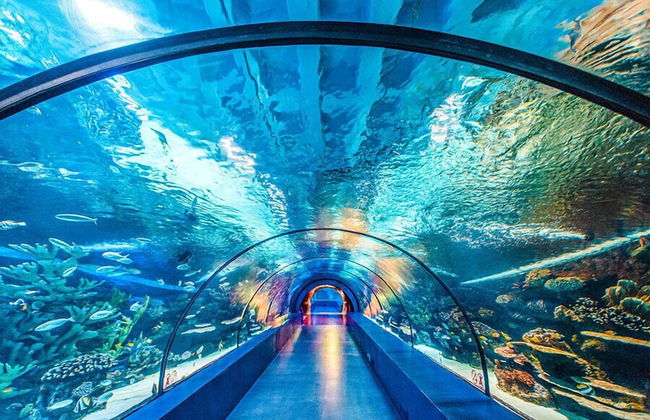 ABC APART HOTEL - Photo 73