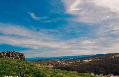 Chez Armande - Photo 14