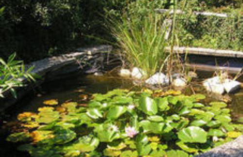 Silbecke Forest View Apartment - Foto 67