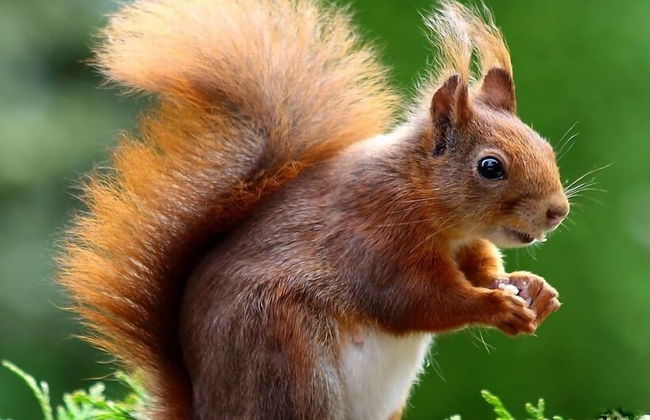 Blockhaus Bodefall - Foto 20