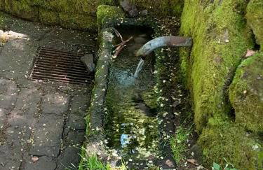 Fewo Waldtherme Relaxen, wandern, Radfahren - Foto 34