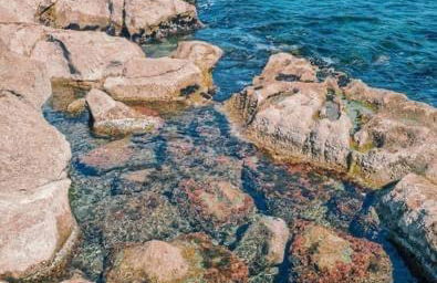 Vue imprenable sur mer- La perle de Saint Pierre La Mer - Foto 33