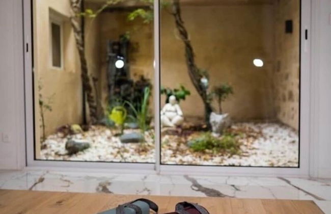 Les 2 Glycines - Photo 10