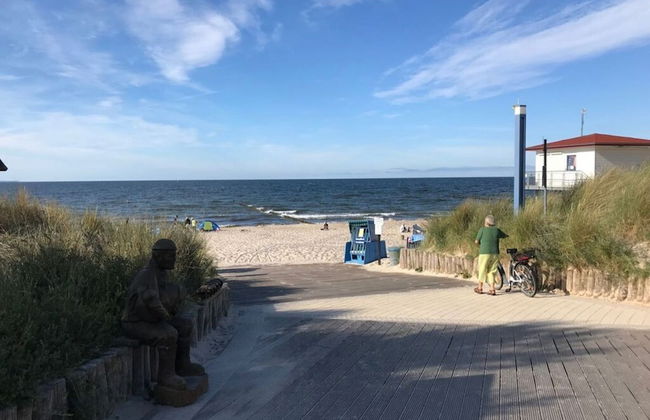 Wood in Zempin/usedom - Foto 21