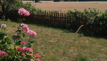 ostseeurlaub-asmussen - Foto 4