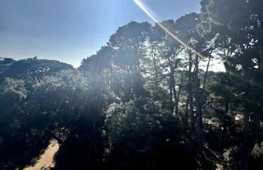 Appartement Pornic plage Noëveillard à pied - Foto 6