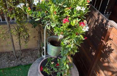 Villa Rosa - Foto 40